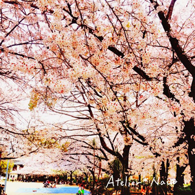 14040304.jpg